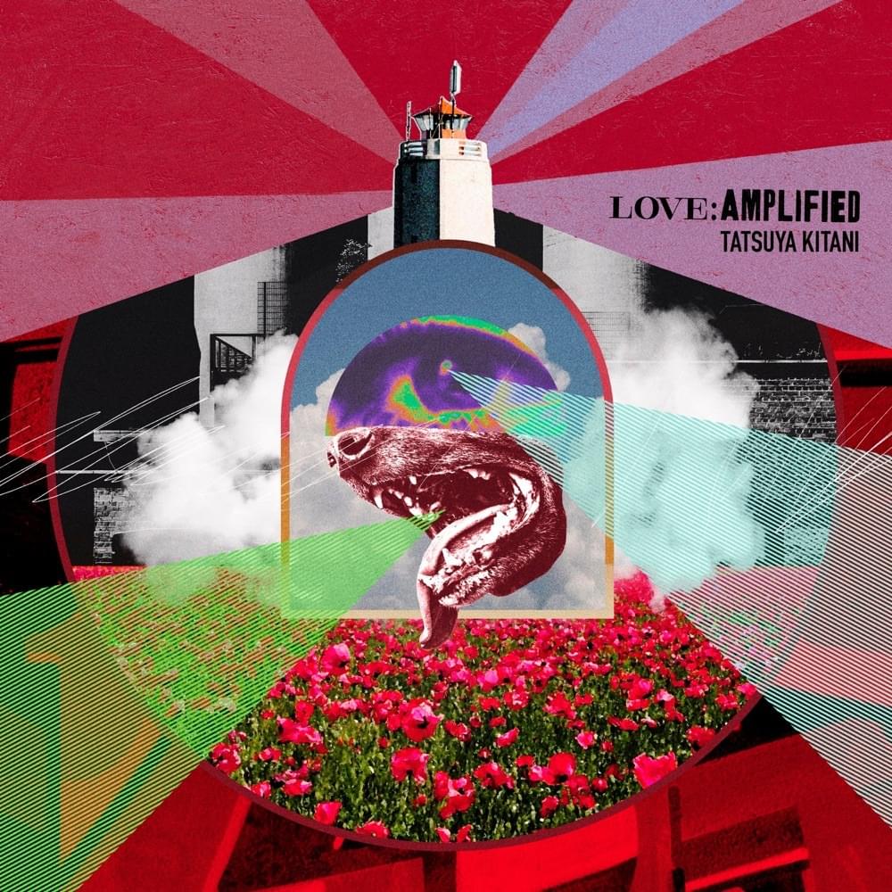 Cover image for LOVE: AMPLIFIED