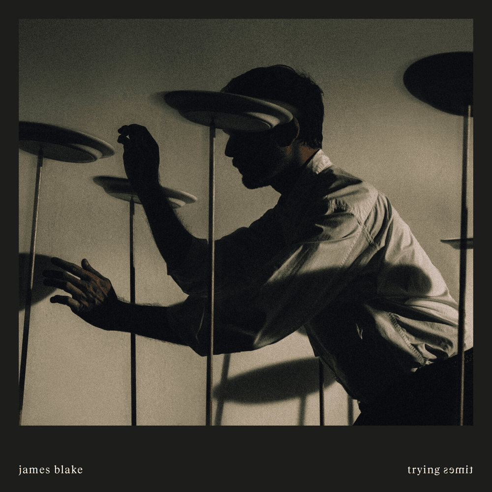 Cover image for Trying Times