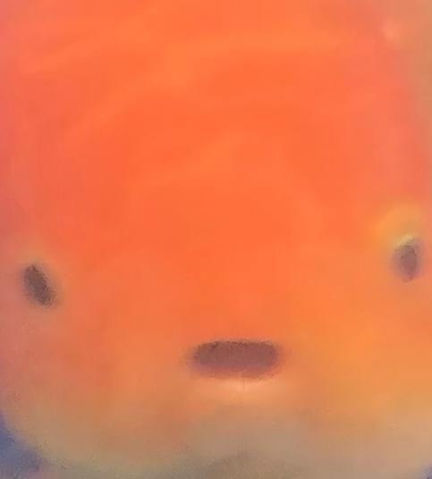 Album cover art for "Favourite fish of Genius Users" by Afeith