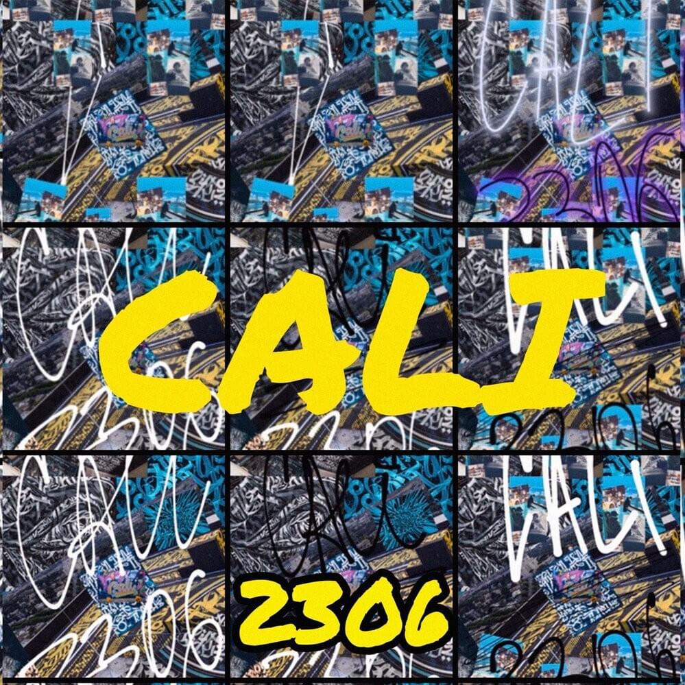 Cover image for 2306