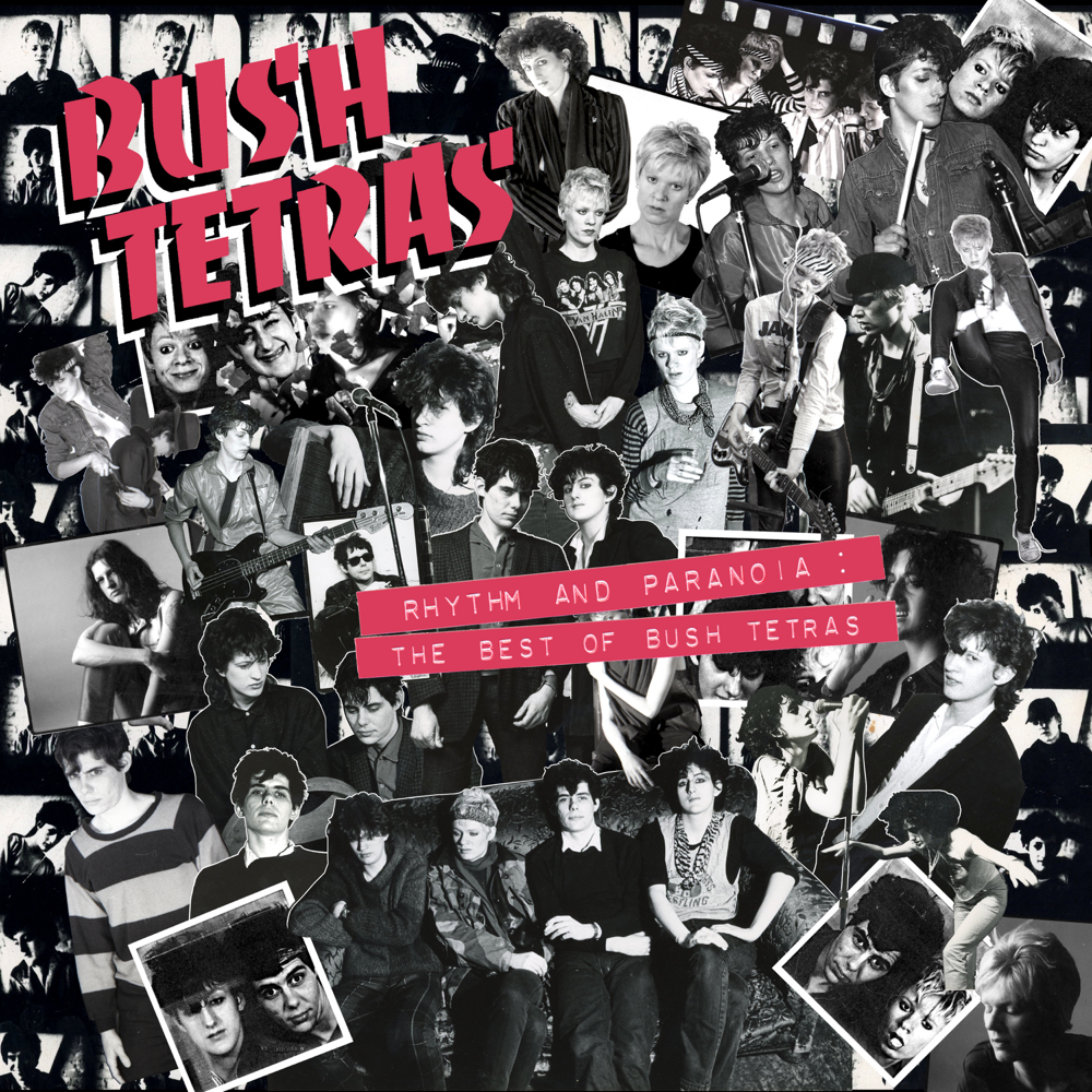 Red Heavy by Bush Tetras
