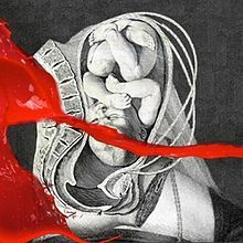 Album cover art for "I Come With Knives" by IAMX