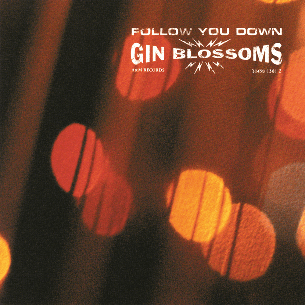Follow You Down by Gin Blossoms