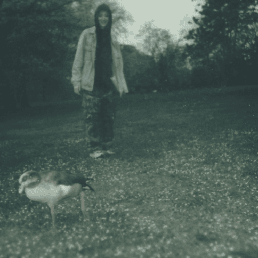 Cover image for It Was Almost You