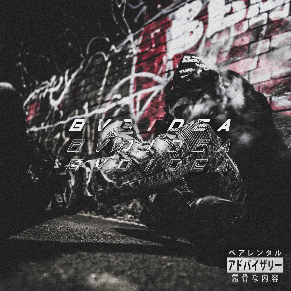 Cover image for BVDIDEA