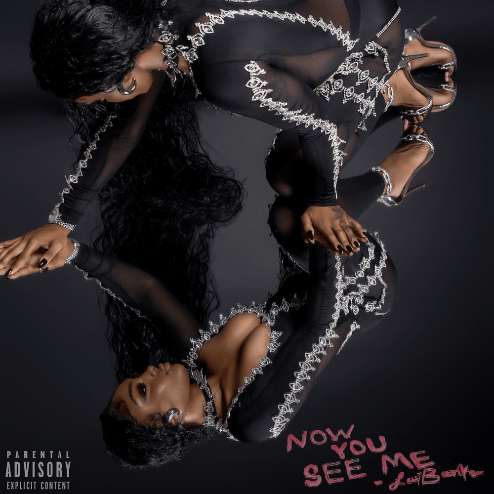 Cover image for Now You See Me