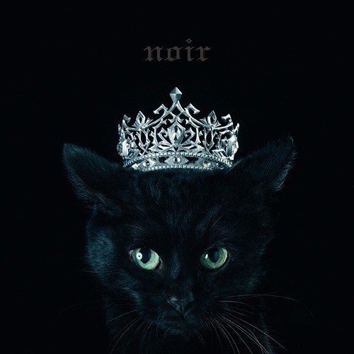 Cover image for BEST SELECTION “noir”