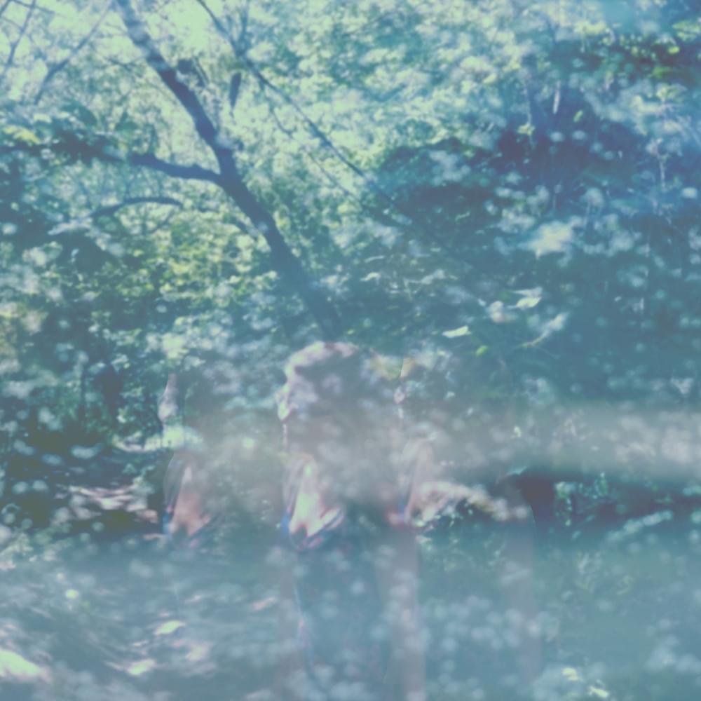 Album cover art for "Speaker" by Alaskan Tapes