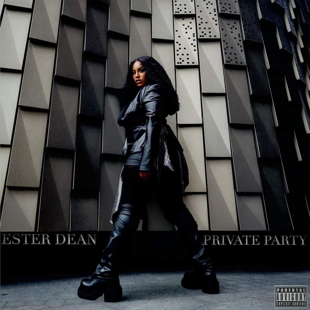Cover image for Private Party