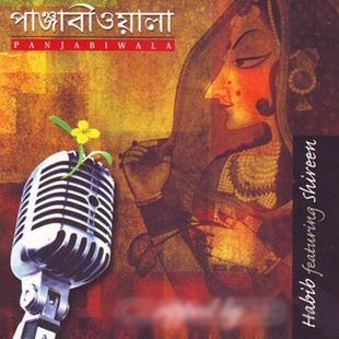 Cover image for Panjabiwala