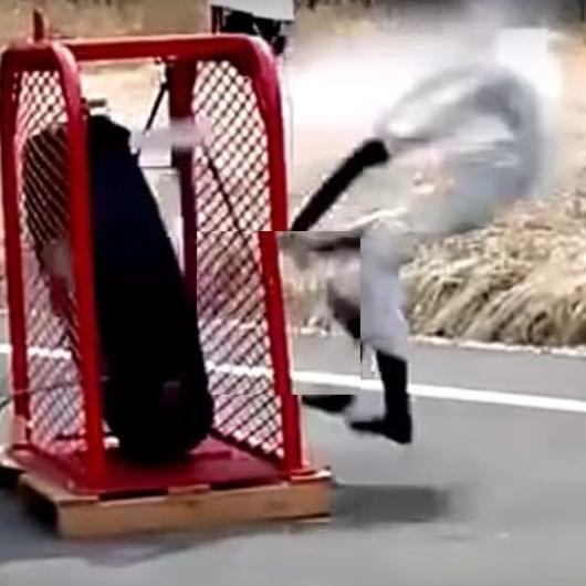 Album cover art for "Fuck School" by ERIC NORTH