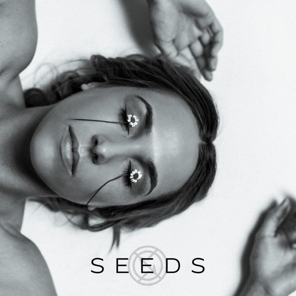 Album cover art for "Seeds" by Icon For Hire