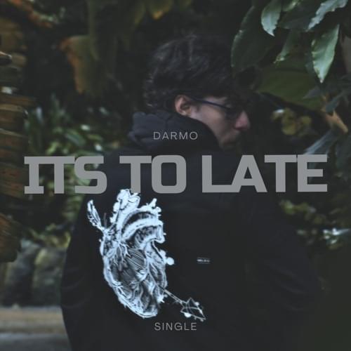 Its Too Late by Darmo