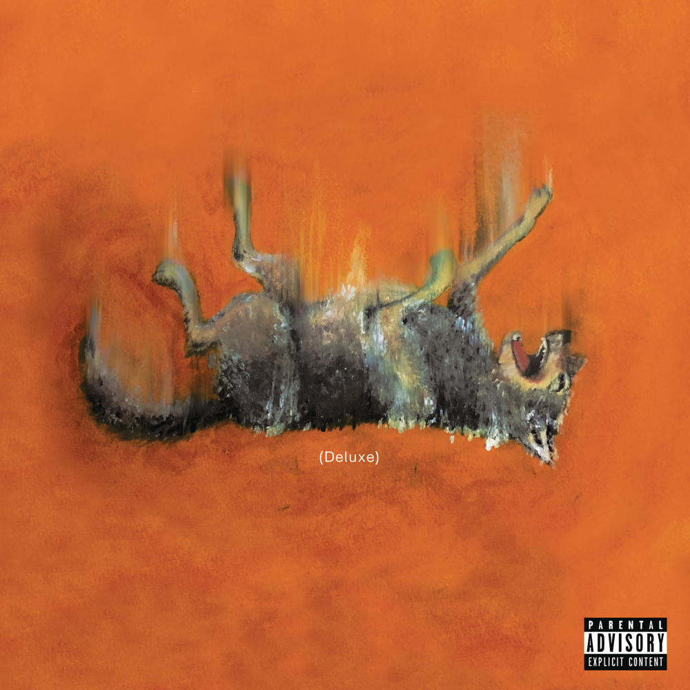 Cover image for SHAKE THE SNOW GLOBE (DELUXE)