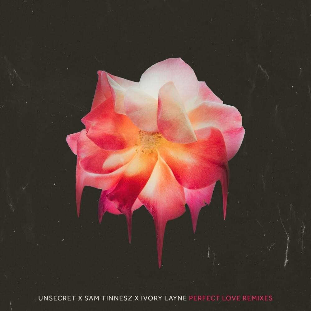 Cover image for Perfect Love Remixes