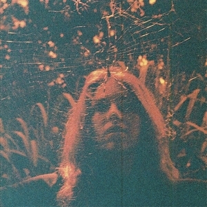 I Would Hate You If I Could by Turnover