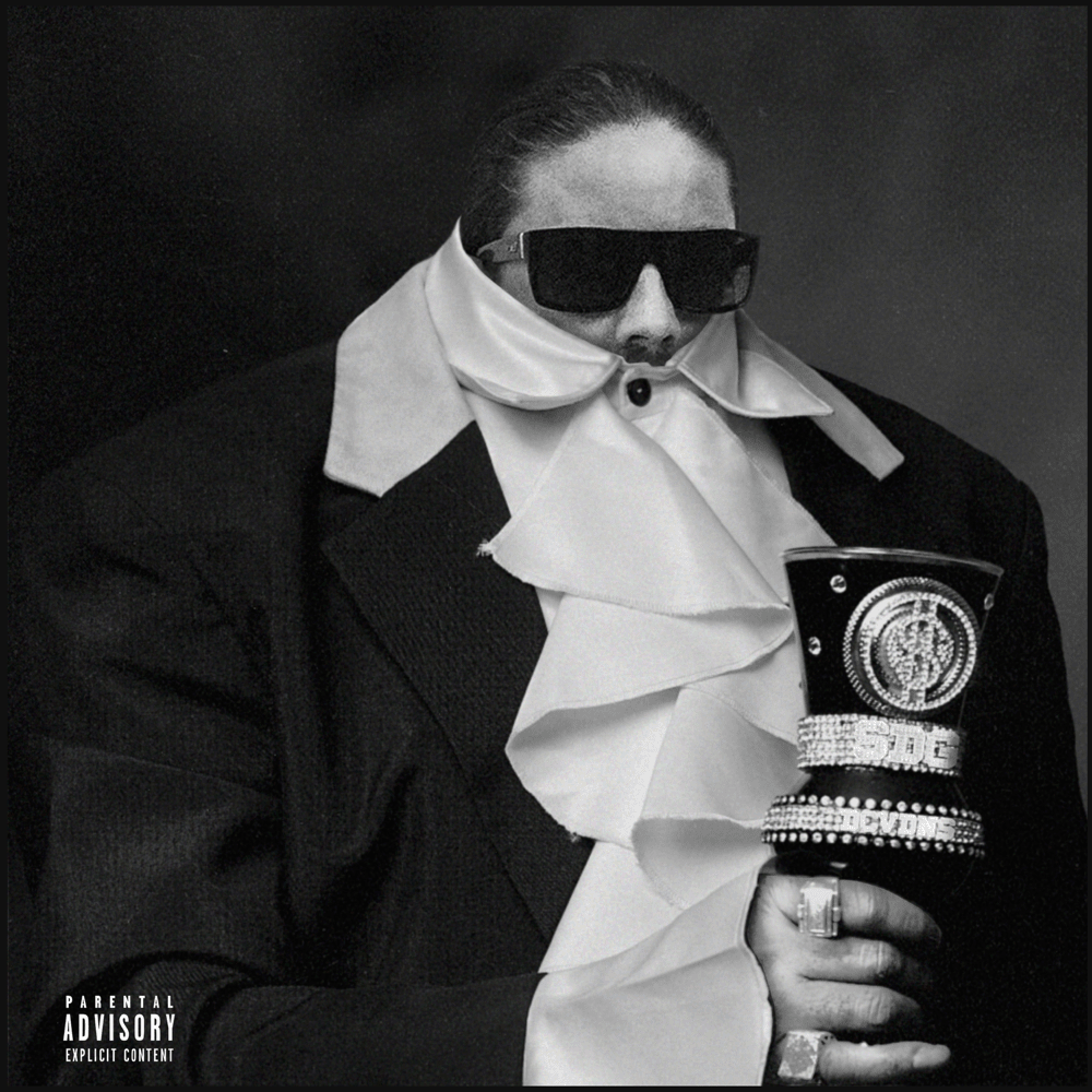 Album cover art for "Spiel die Games" by DCVDNS