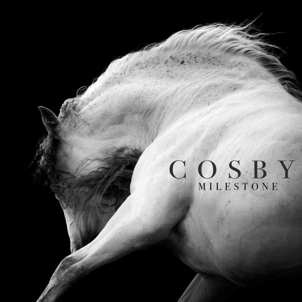 Cover image for Milestone 