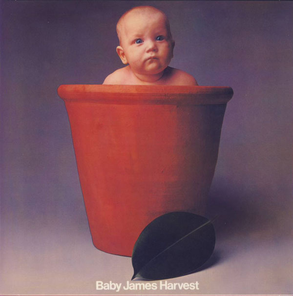 Cover image for Baby James Harvest