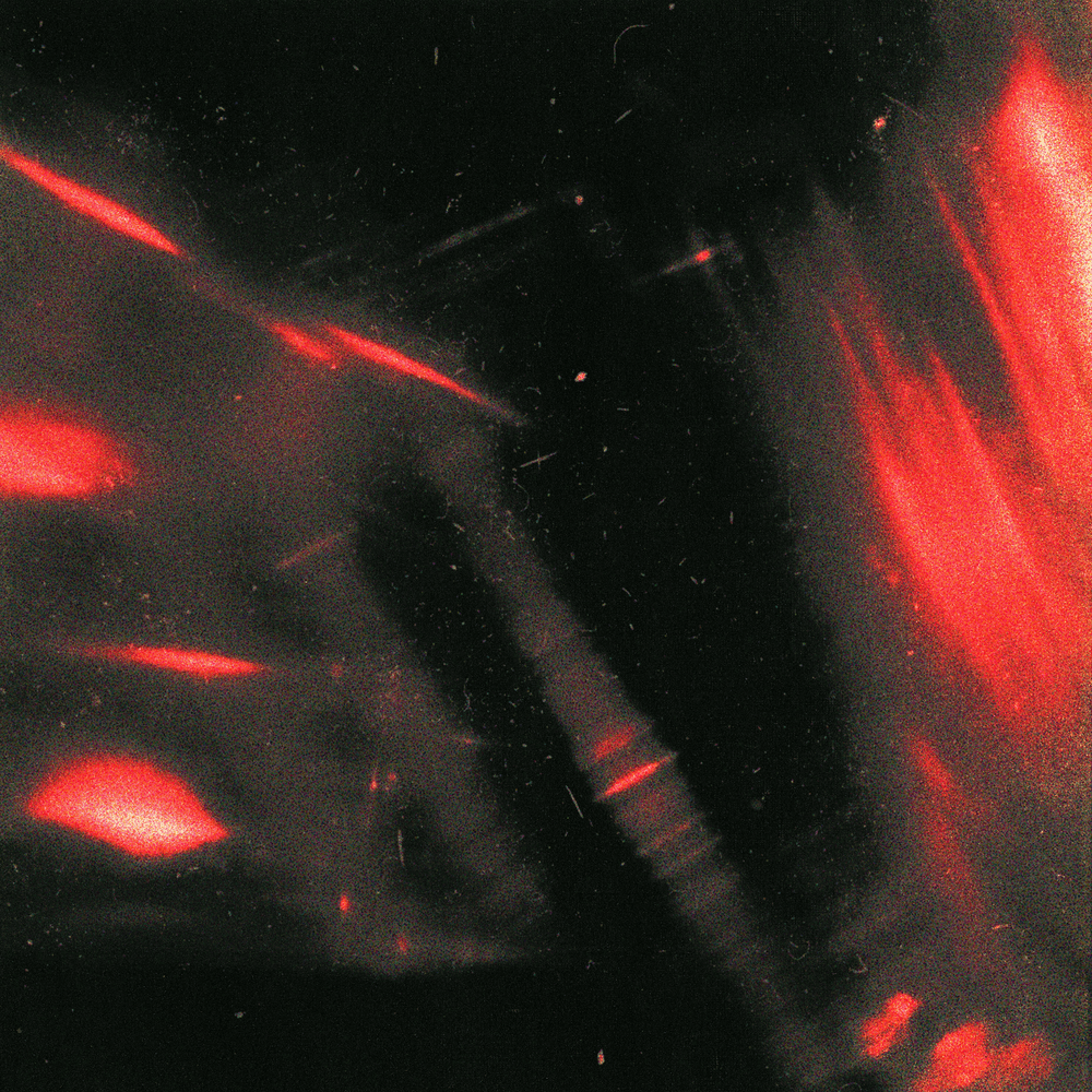 Album cover art for "LOVE YOU LESS" by Joji