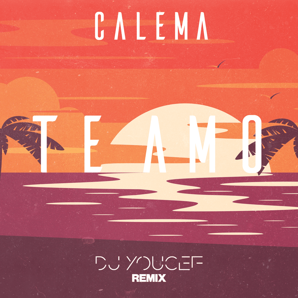 Album cover art for "Te Amo (DJ Youcef Remix)" by Calema