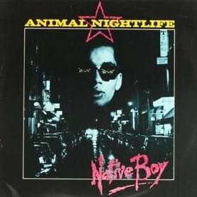 Cover image for Native Boy