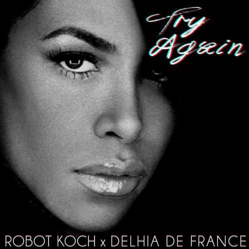 Album cover art for "Try Again" by Robot Koch & Delhia de France