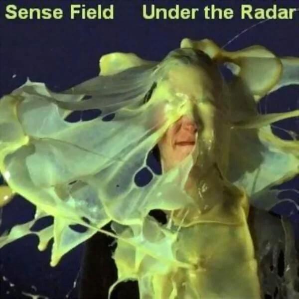 Are You Okay by Sense Field