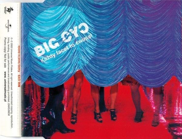 Album cover art for "Każdy facet to świnia" by Big Cyc