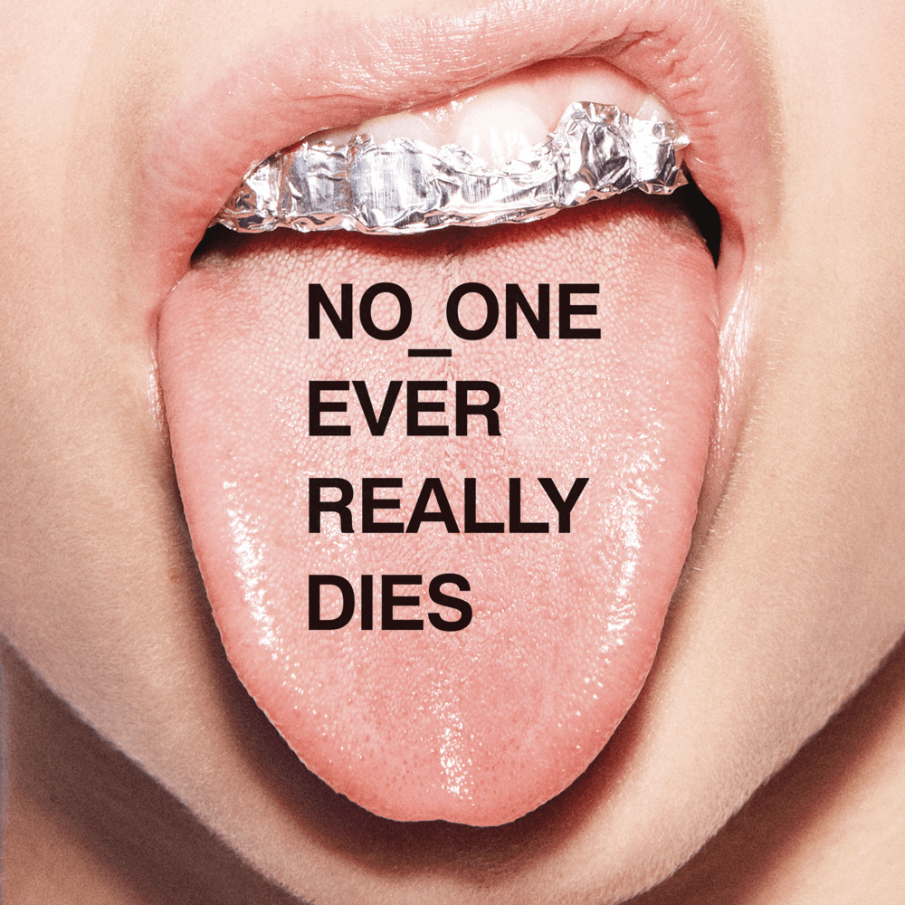Cover image for N.E.R.D.