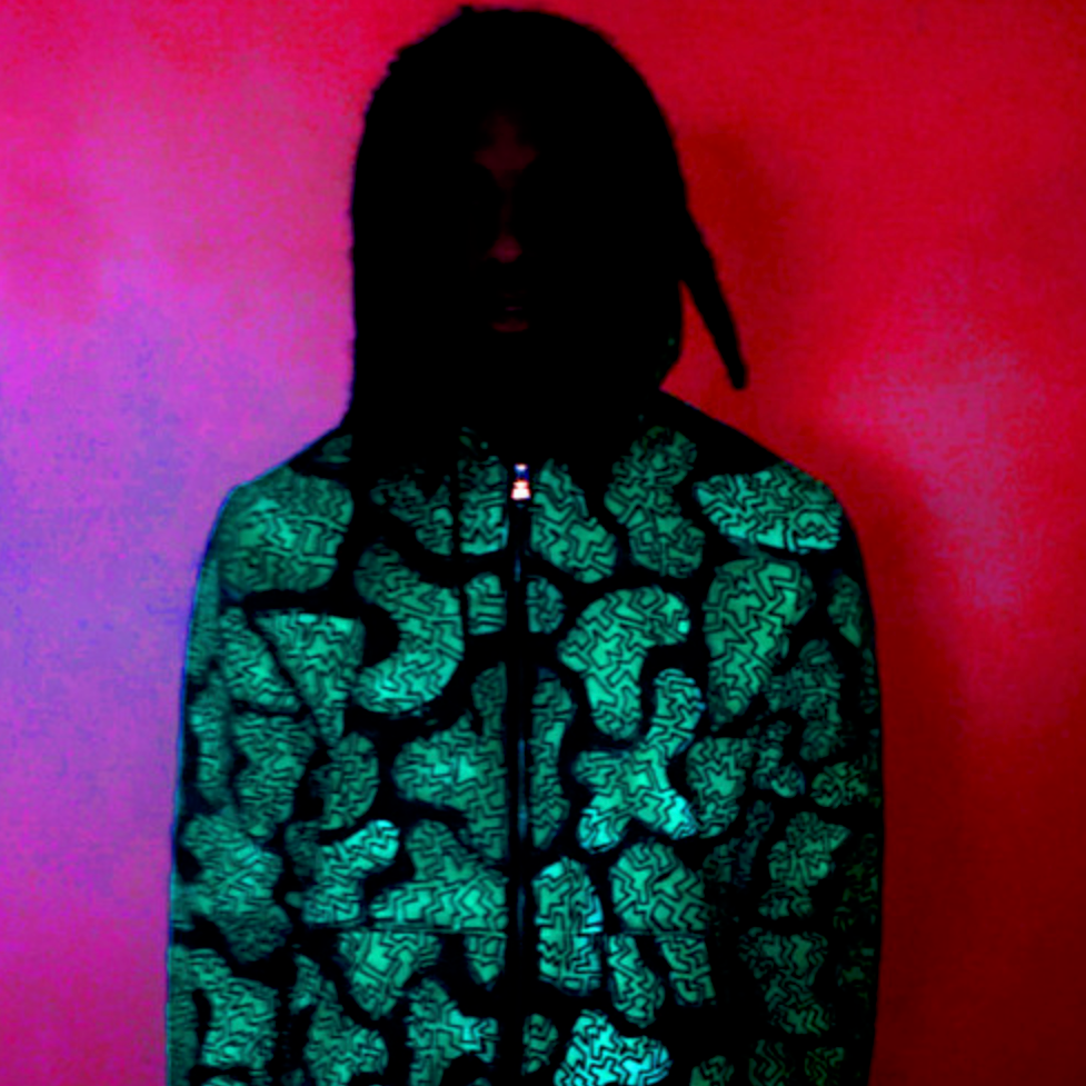 Cover image for Posh Ectoplasm, Vol. 1