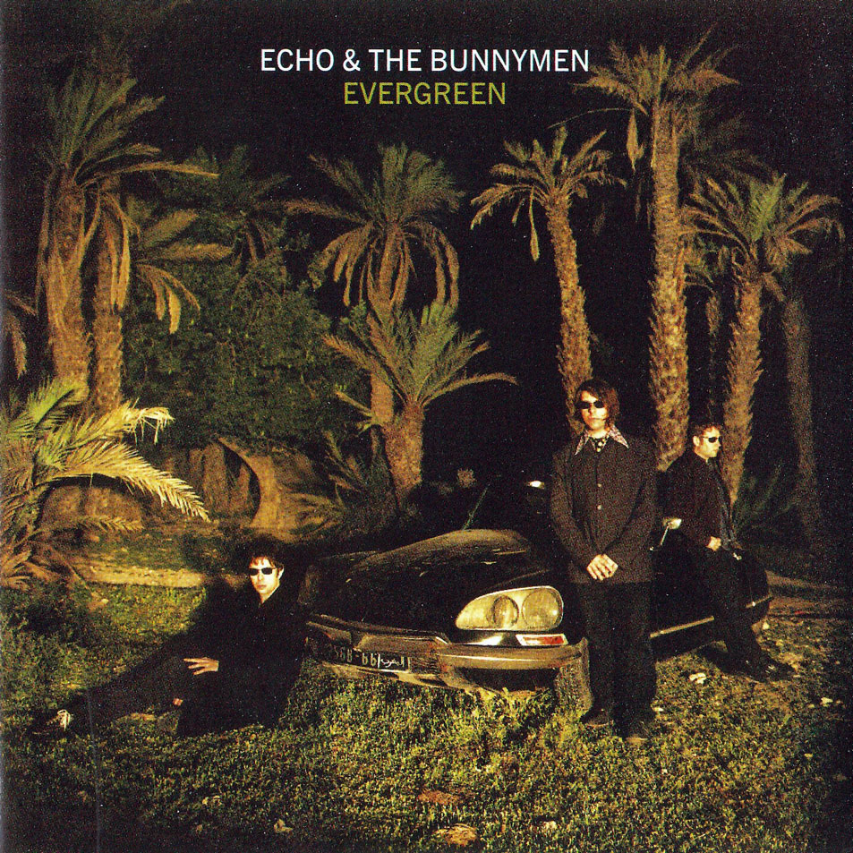 Album cover art for "Baseball Bill" by Echo & the Bunnymen