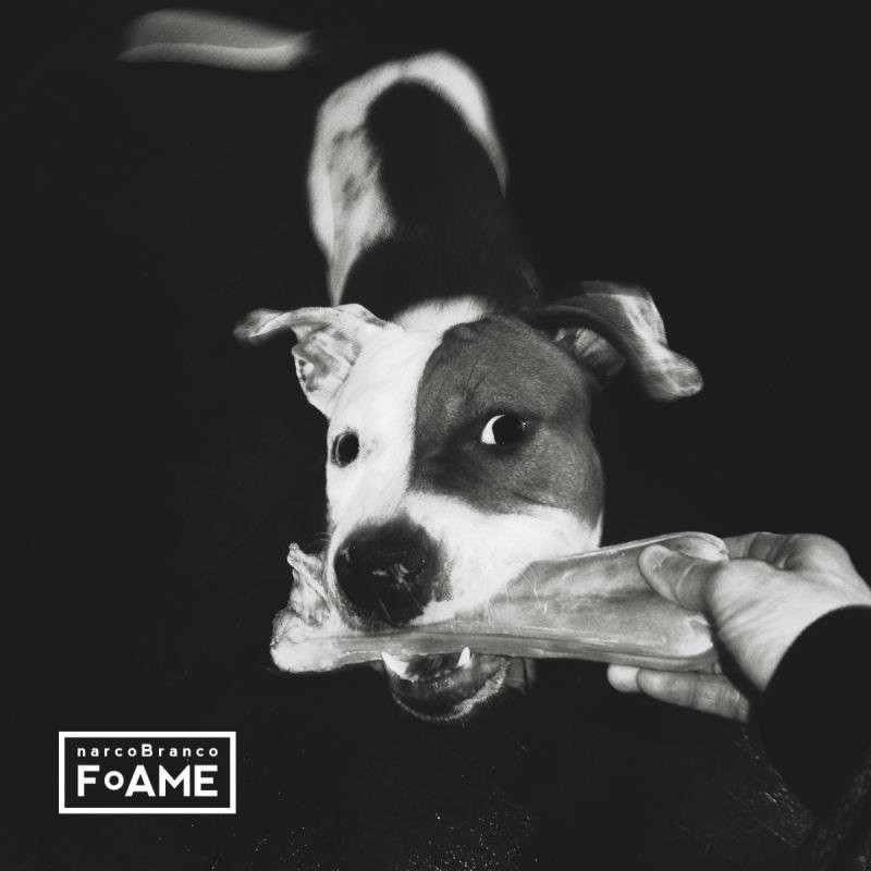 Cover image for FoAME [maxi-single]