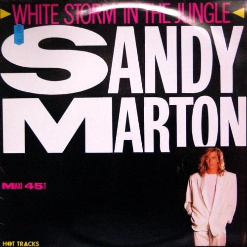 White Storm In The Jungle by Sandy Marton