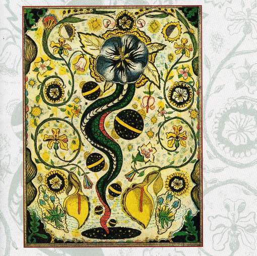 Hard-Core Troubadour by Steve Earle