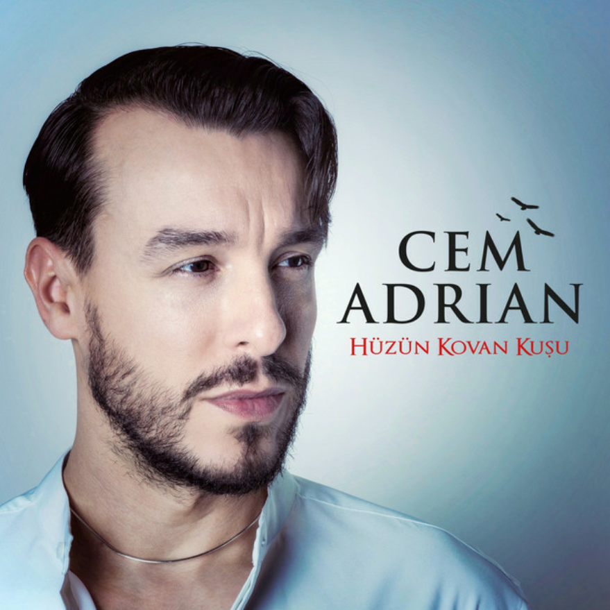 Cover image for Hüzün Kovan Kuşu - Single