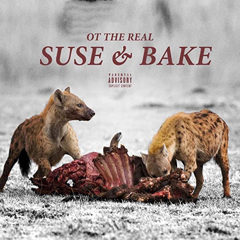 Cover image for Suse & Bake
