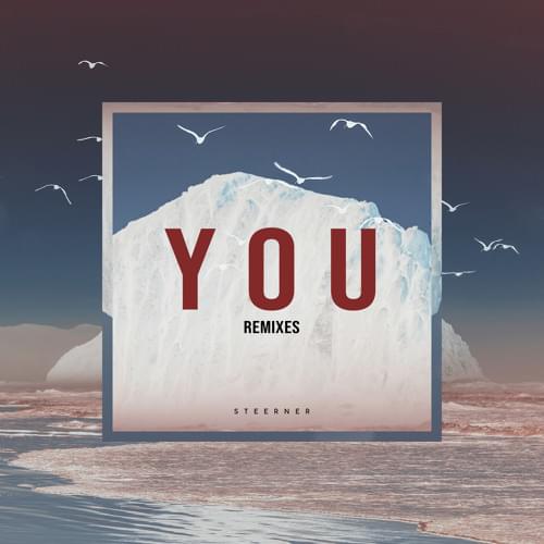 Album cover art for "You (BUNT. Remix)" by Steerner