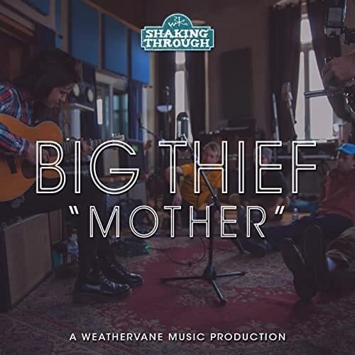 Album cover art for "Mother" by Big Thief