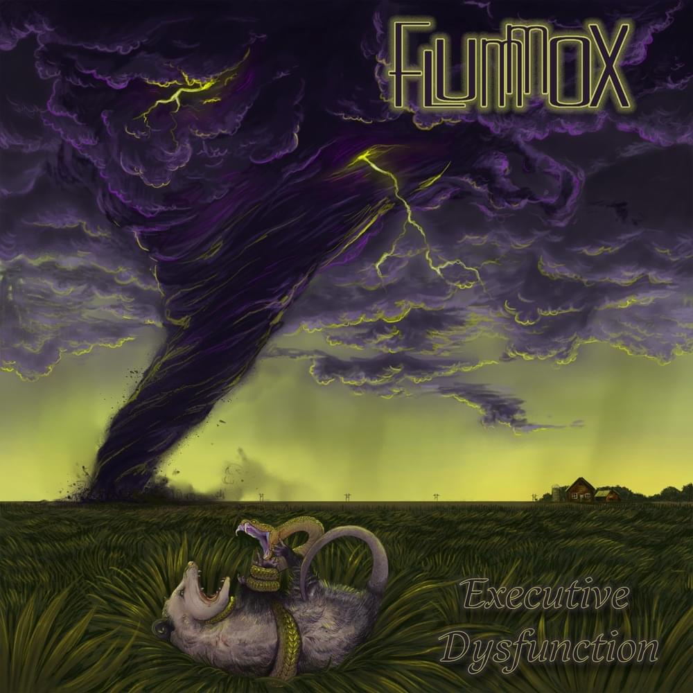 Album cover art for "Executive Dysfunction" by Flummox