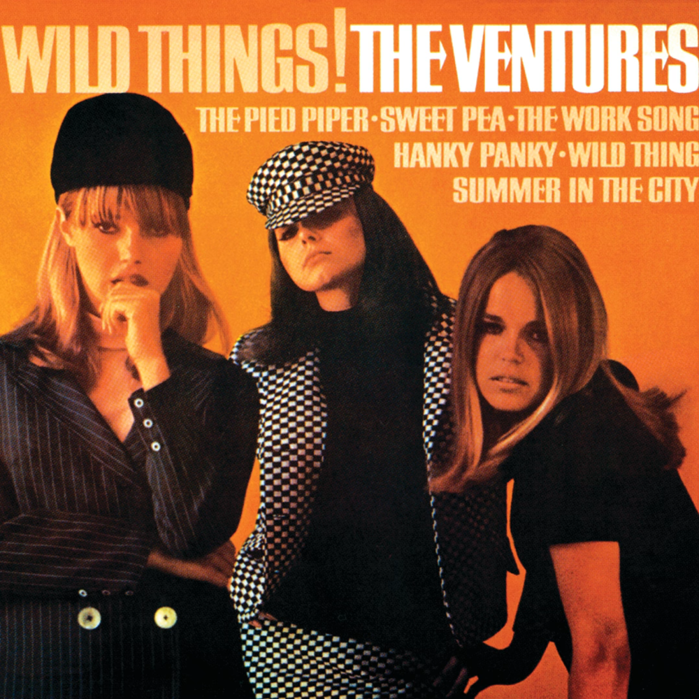 Cover image for Wild Things!