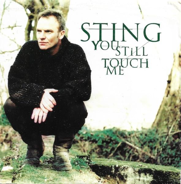 Album cover art for "You Still Touch Me" by Sting