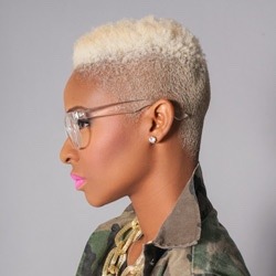Cover image for Toni Estes