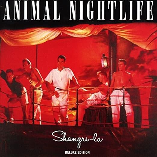 After Hours by Animal Nightlife