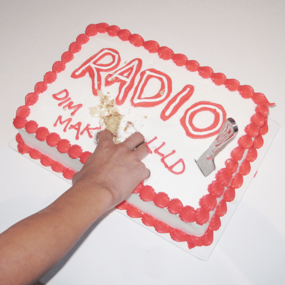 Album cover art for "Radio" by Steve Aoki