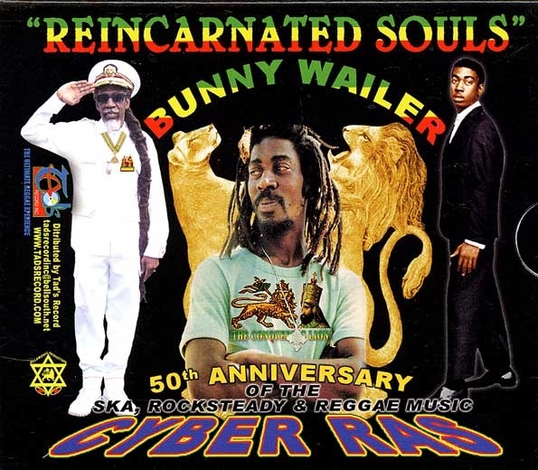 Cover image for Reincarnated Souls