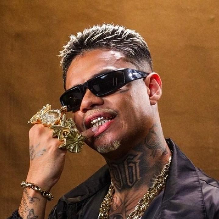Cover image for MC Cabelinho