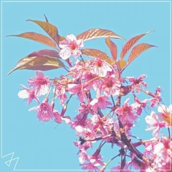 Album cover art for "New Rules" by Madilyn