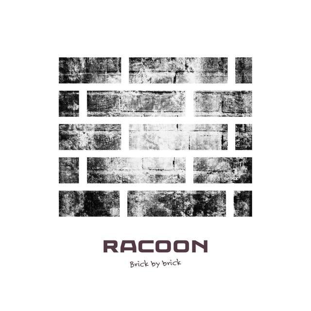 Album cover art for "Brick By Brick" by Racoon