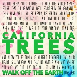 Album cover art for "California Trees" by Walk off the Earth